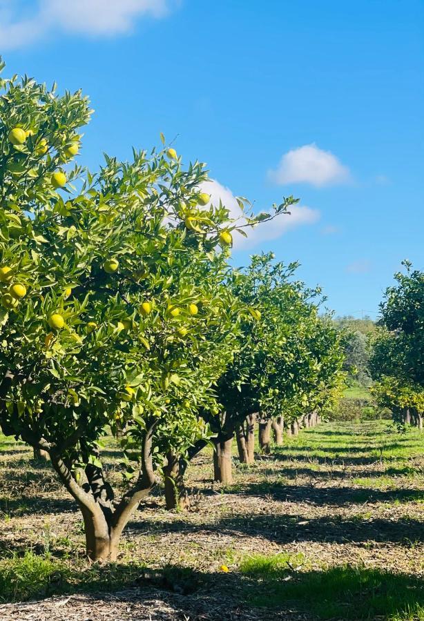 Quinta Da Boa Sorte Estoi Esterno foto